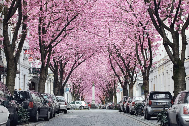 ve may bay di Vancouver