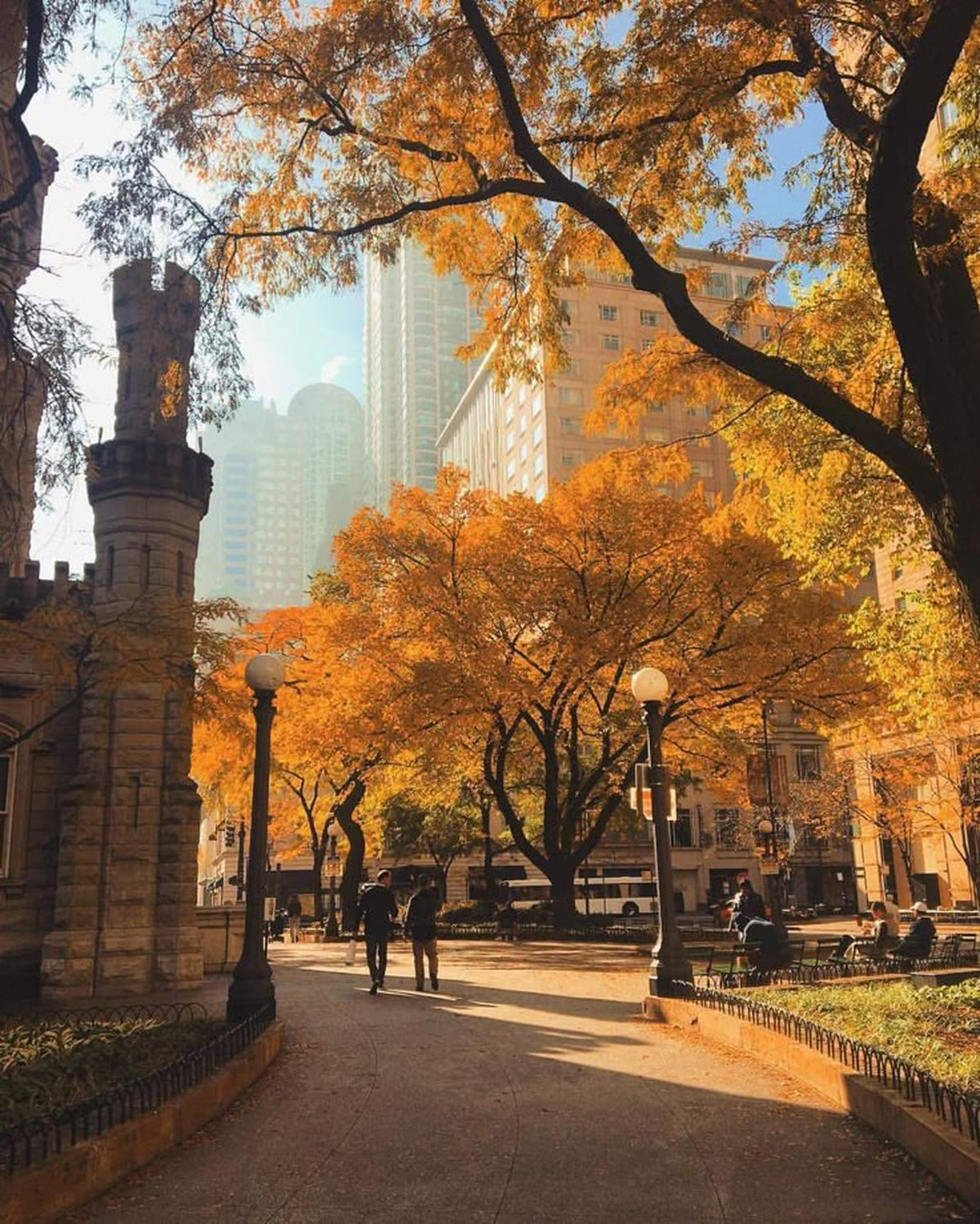 Thời tiết Chicago vào mùa thu mang vẻ đẹp nên thơ như một bức tranh sống động giữa lòng thành phố hiện đại