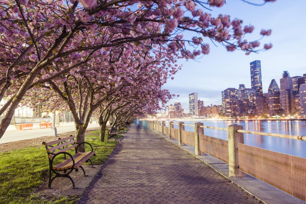 Nhiệt độ New York vào mùa xuân dao động từ khoảng 8 độ C đến 20 độ C và bắt đầu ấm dần lên sau những tháng đông giá rét