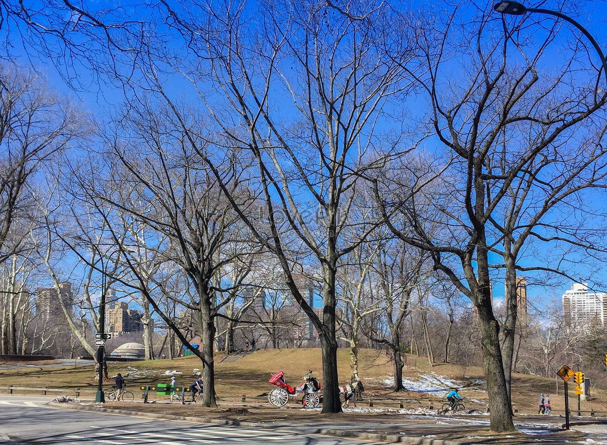 Nhiệt độ New York vào mùa đông là khoảng thời gian lạnh nhất trong năm với nhiệt độ trung bình từ âm 5 độ C đến 6 độ C